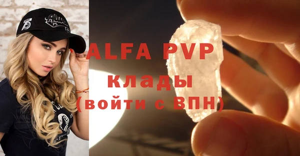 мяу мяу мука Баксан