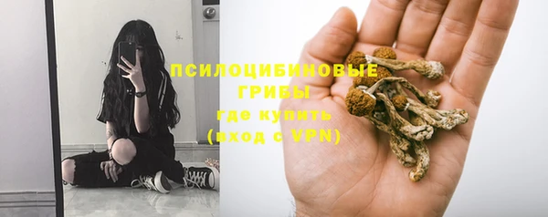 молекула духа Белокуриха