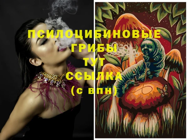 ECSTASY Протвино