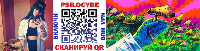 KRAKEN маркетплейс  Ершов  Галлюциногенные грибы GOLDEN TEACHER  где найти наркотики 